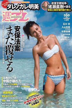 豚鼠系列